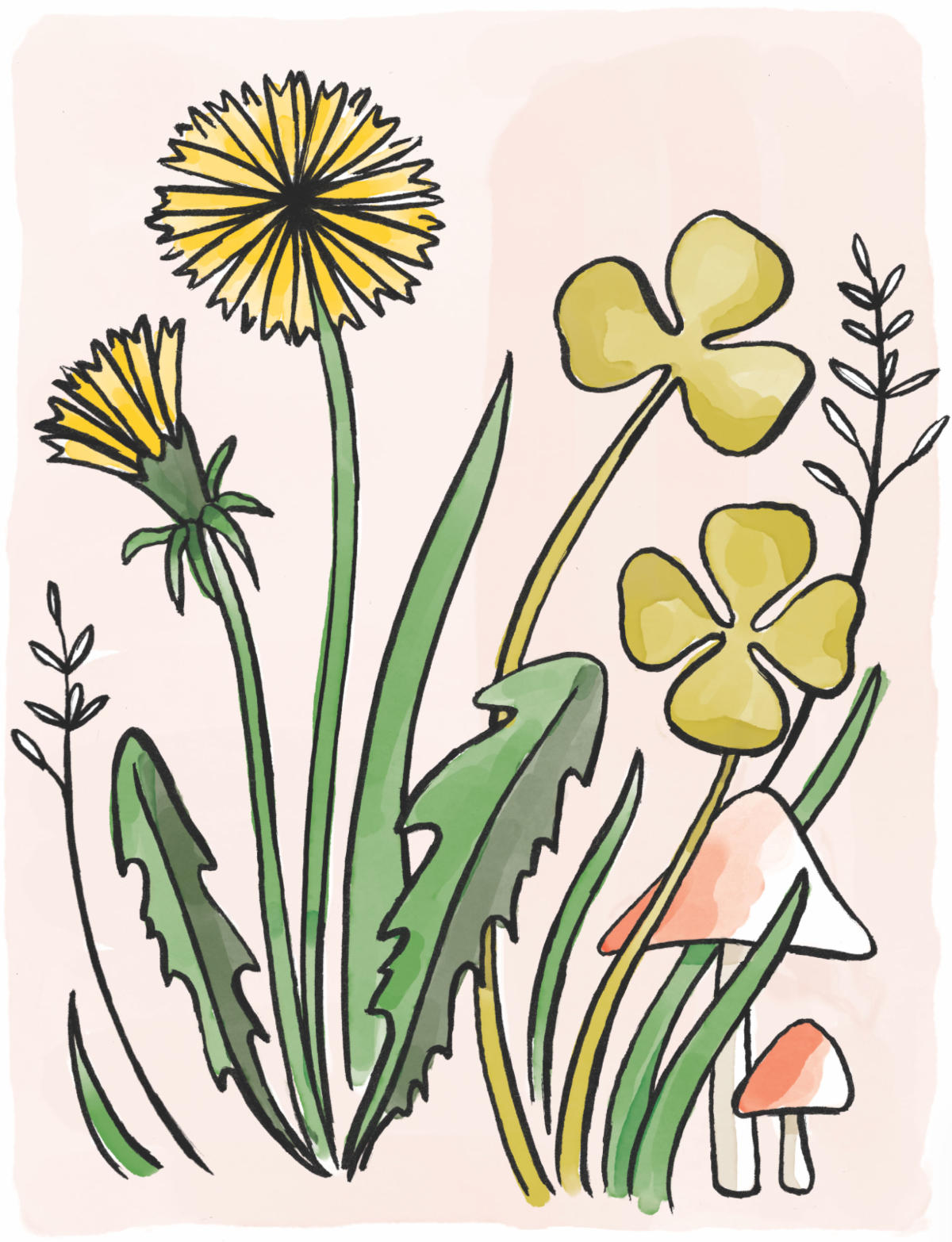 Dandelion thumbnail